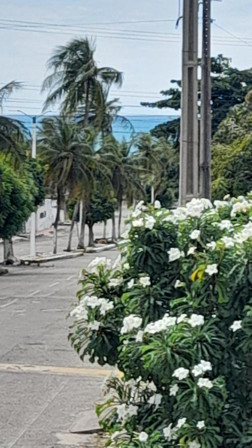Hopa Shelter Surf House Apartamento باراكورو المظهر الخارجي الصورة